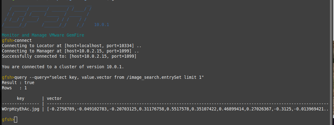 What the image vector looks like in GemFire